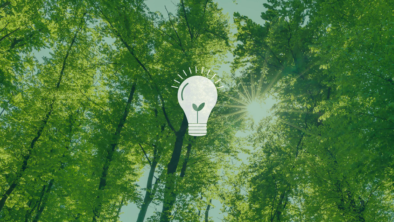 Izzivi in številke evropskega zelenega prehoda